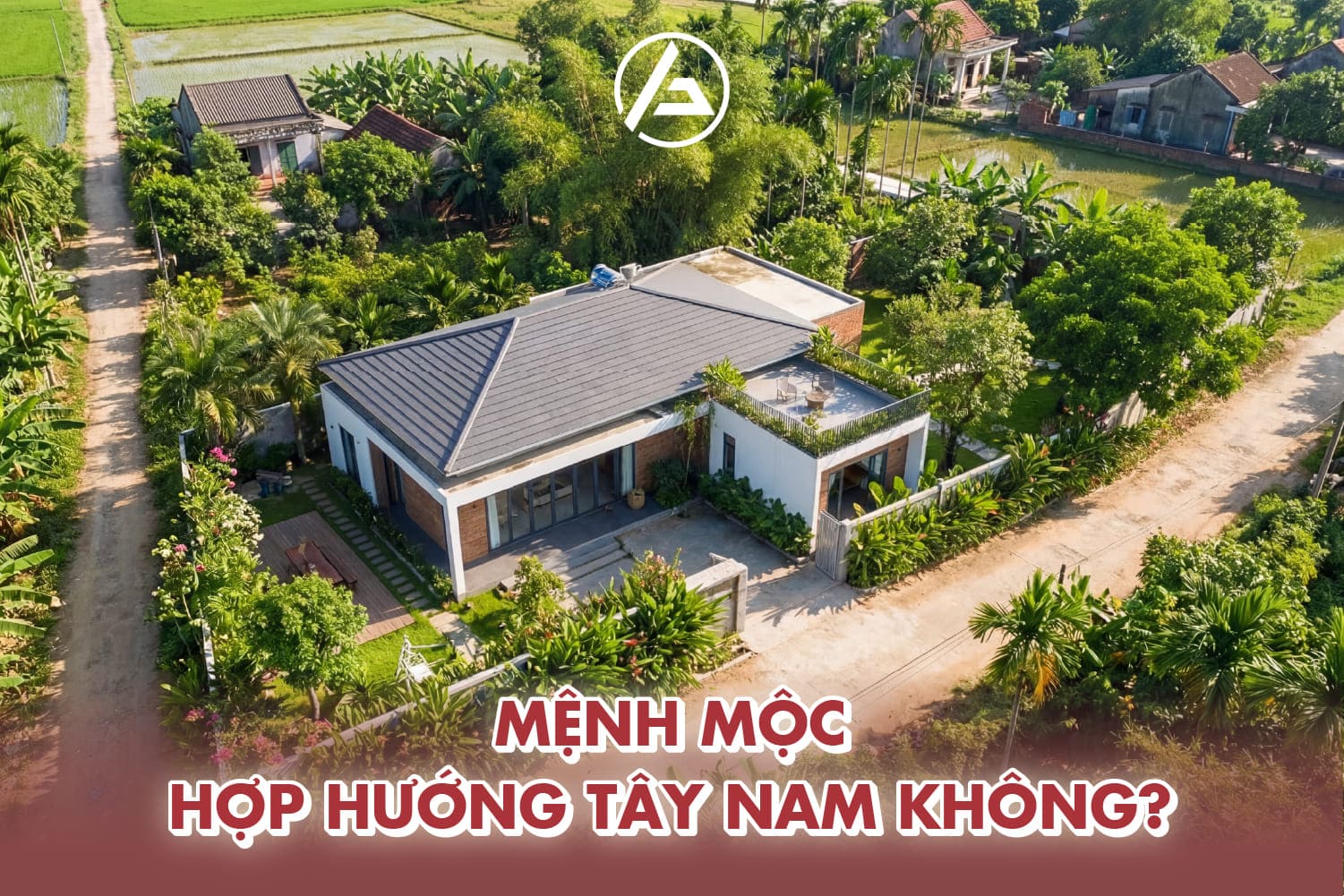 Hướng Tây Nam không hợp mệnh Mộc, dễ gây hao tổn năng lượng và vượng khí