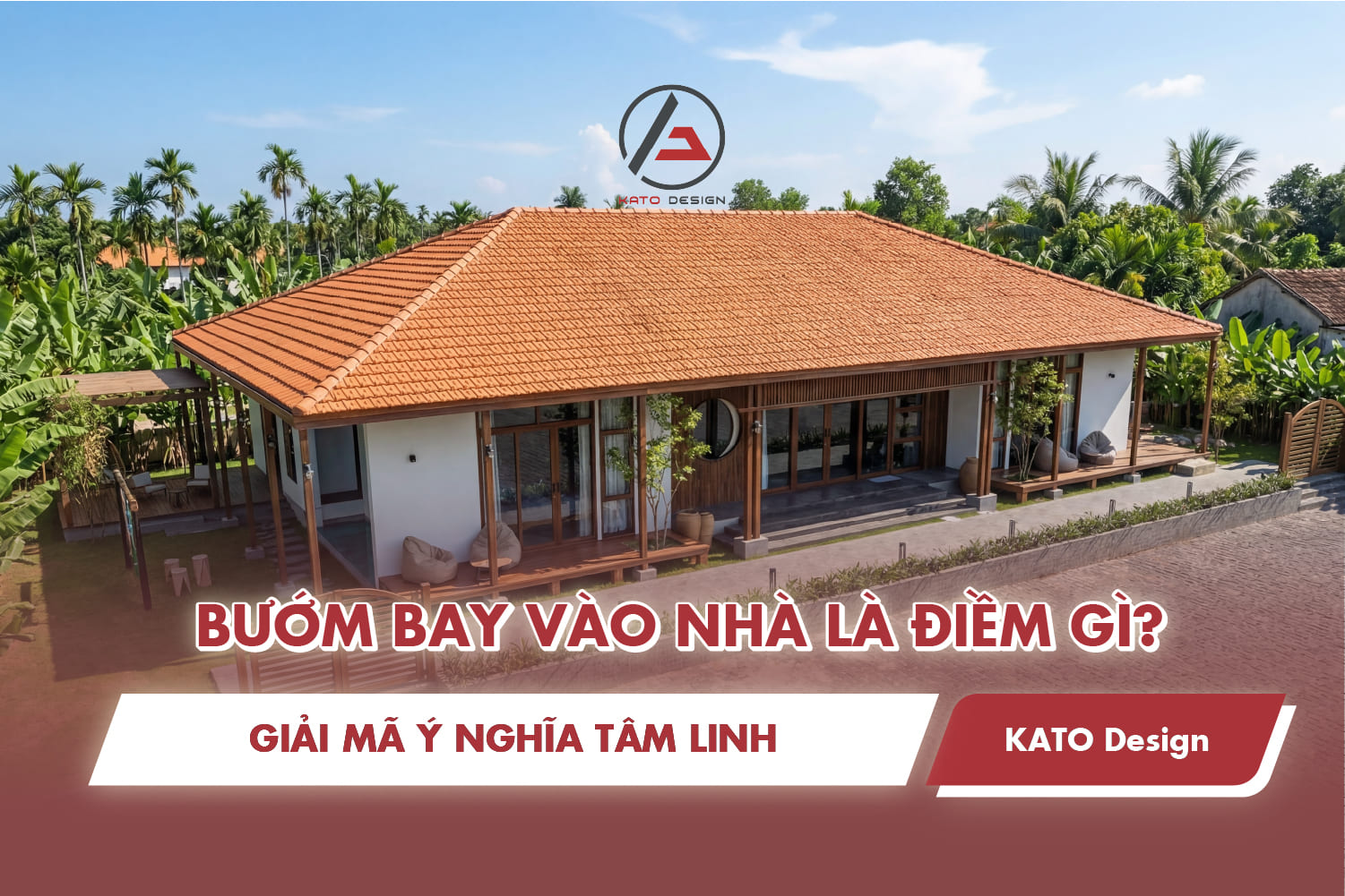 Bướm bay vào nhà là điềm gì? Giải mã ý nghĩa tâm linh