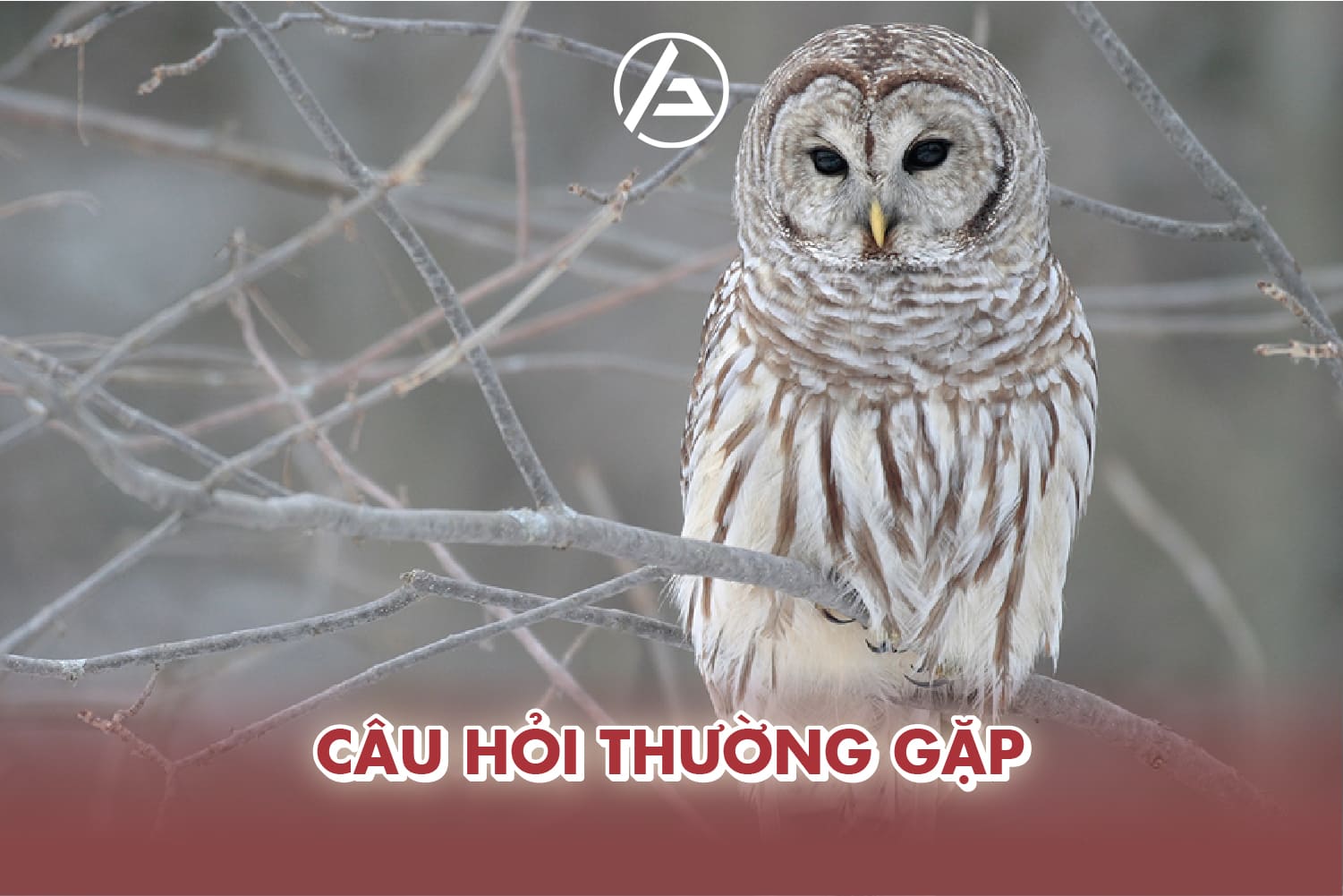 Một số câu hỏi thường gặp Một số câu hỏi thường gặp