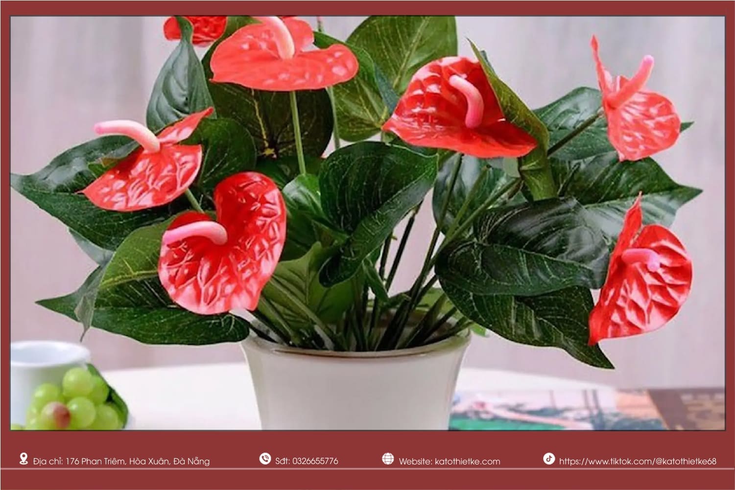 Cây Hồng Môn tượng trưng may mắn, hạnh phúc và tình cảm viên mãn Cây Hồng Môn tượng trưng may mắn, hạnh phúc và tình cảm viên mãn
