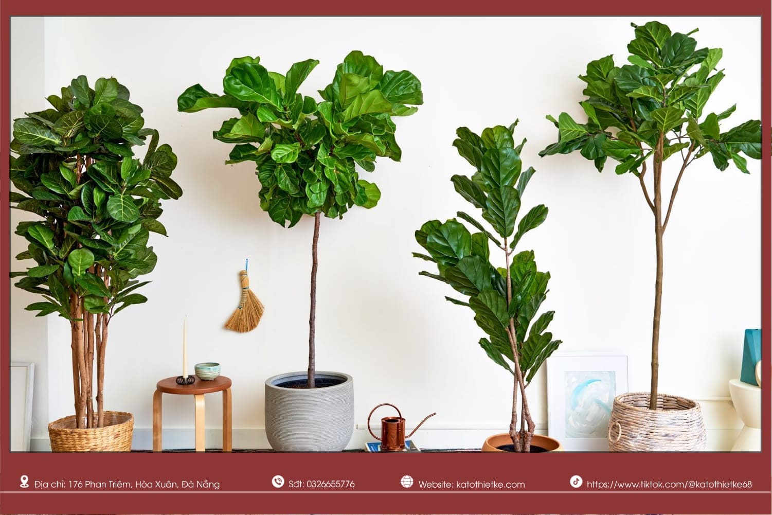 Chọn cây theo tuổi giúp tăng sinh khí, thu hút may mắn và hài hòa phong thủy Chọn cây theo tuổi giúp tăng sinh khí, thu hút may mắn và hài hòa phong thủy