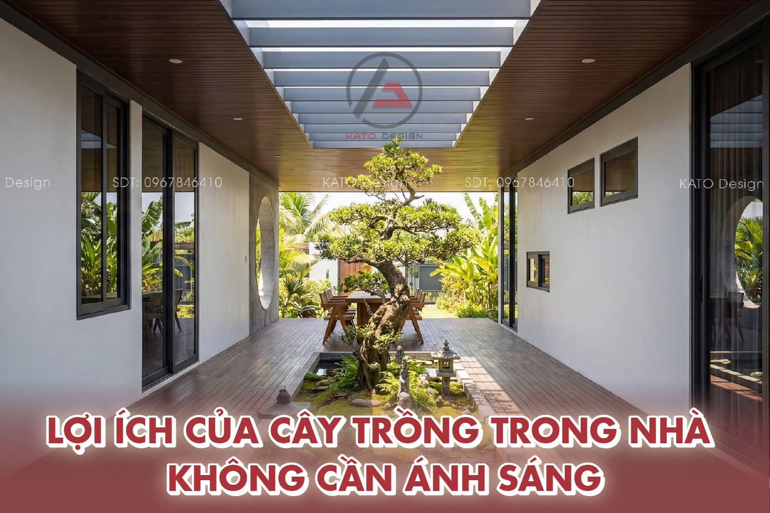Lợi ích của cây trồng trong nhà không cần ánh sáng Lợi ích của cây trồng trong nhà không cần ánh sáng