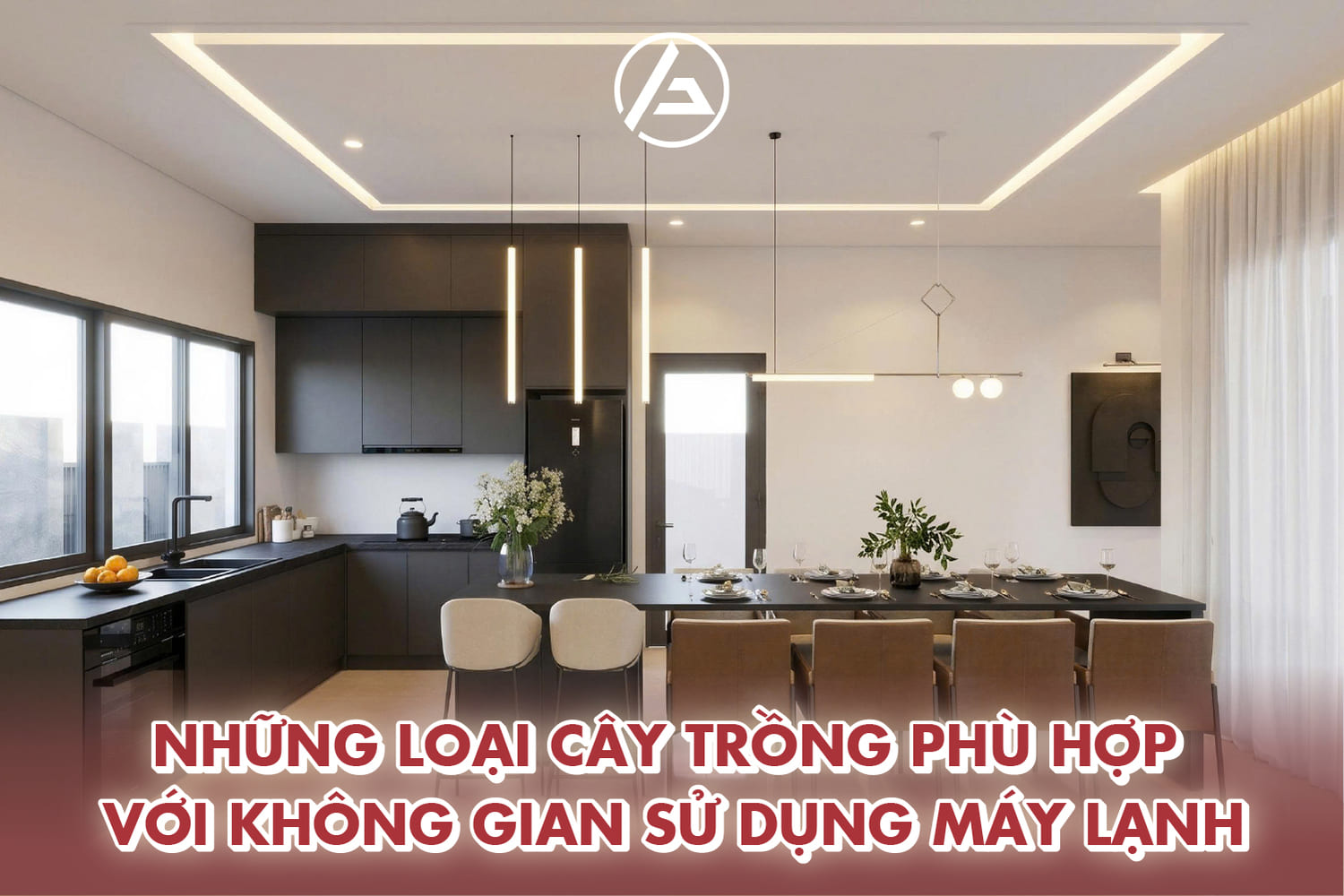 Những loại cây trồng trong nhà không cần ánh sáng phù hợp với không gian sử dụng máy lạnh Những loại cây trồng trong nhà không cần ánh sáng phù hợp với không gian sử dụng máy lạnh