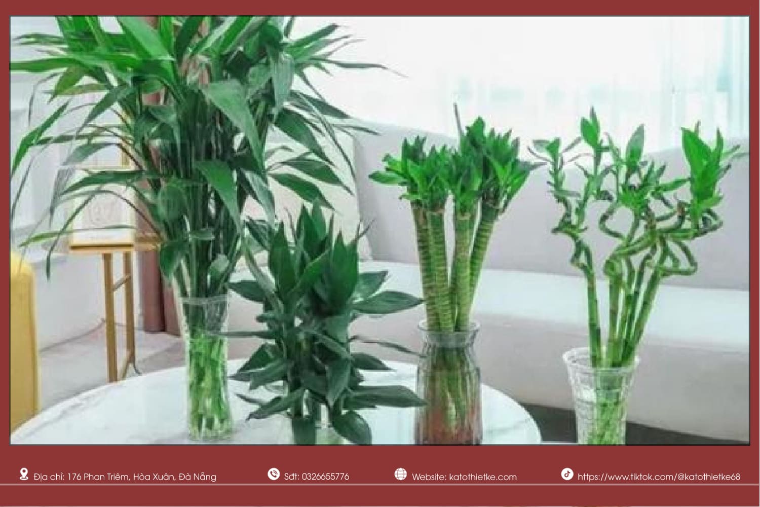 Phát lộc uốn dáng để bàn Phát lộc uốn dáng để bàn