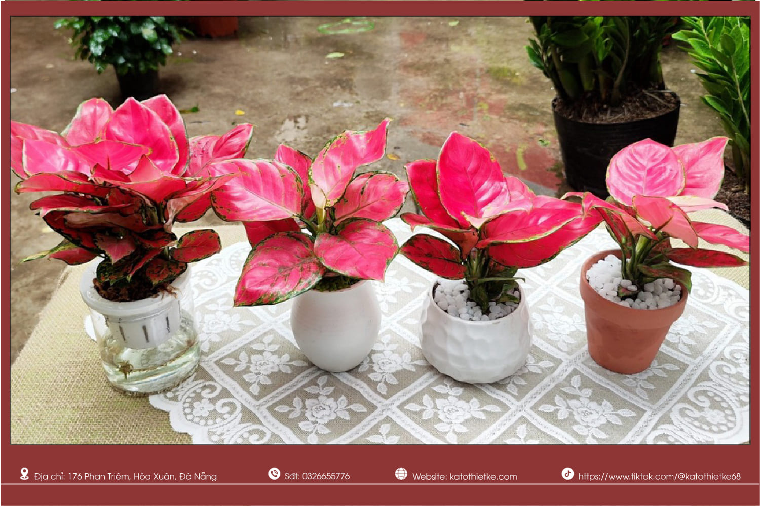 Vạn lộc lá đỏ hồng tượng trưng cho may mắn và tài lộc Vạn lộc lá đỏ hồng tượng trưng cho may mắn và tài lộc