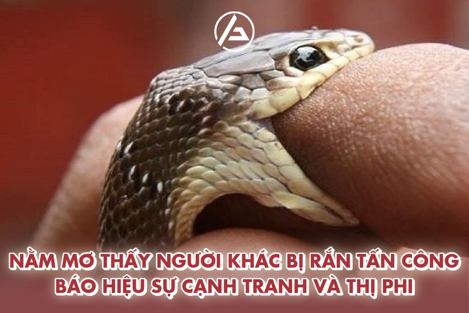 Nằm mơ thấy người khác bị rắn tấn công báo hiệu sự cạnh tranh và thị phi 
